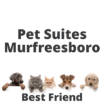 Best Friend