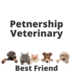Best Friend (1)
